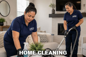 Home Cleaning