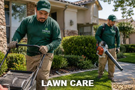 Lawn Care