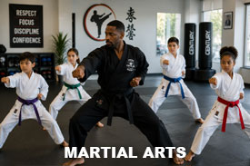 Martial  Arts